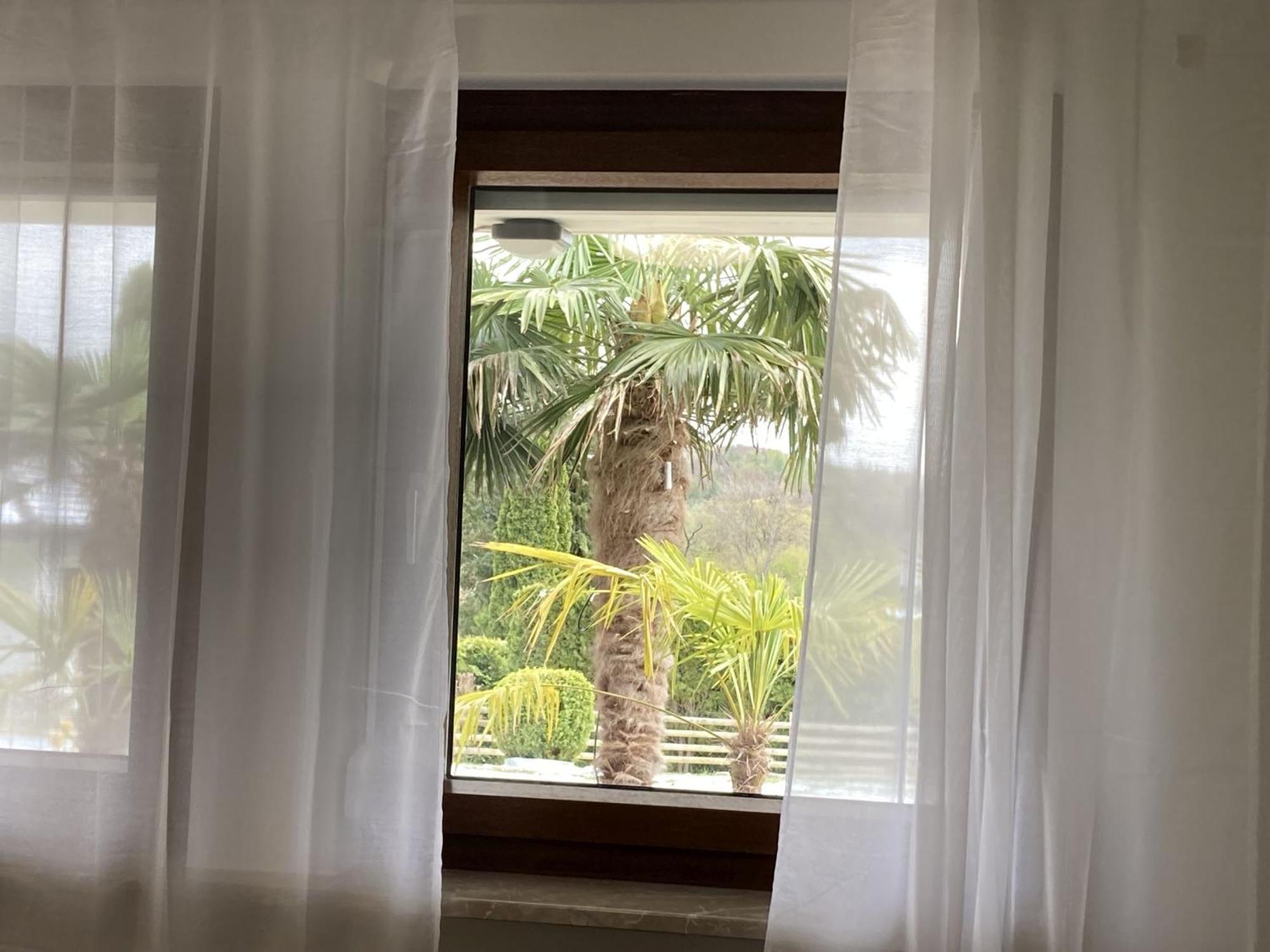 Lichtenstein  Ferienwohnung Palmengarten מראה חיצוני תמונה